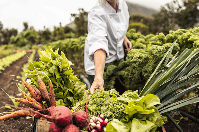 Eine Hand schiebt eine Kiste mit frischem Bio-Gemüse vor die Kamera.