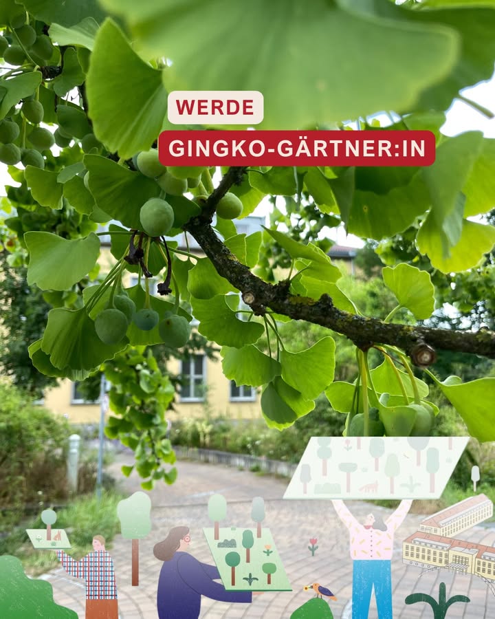 Beitragsbild