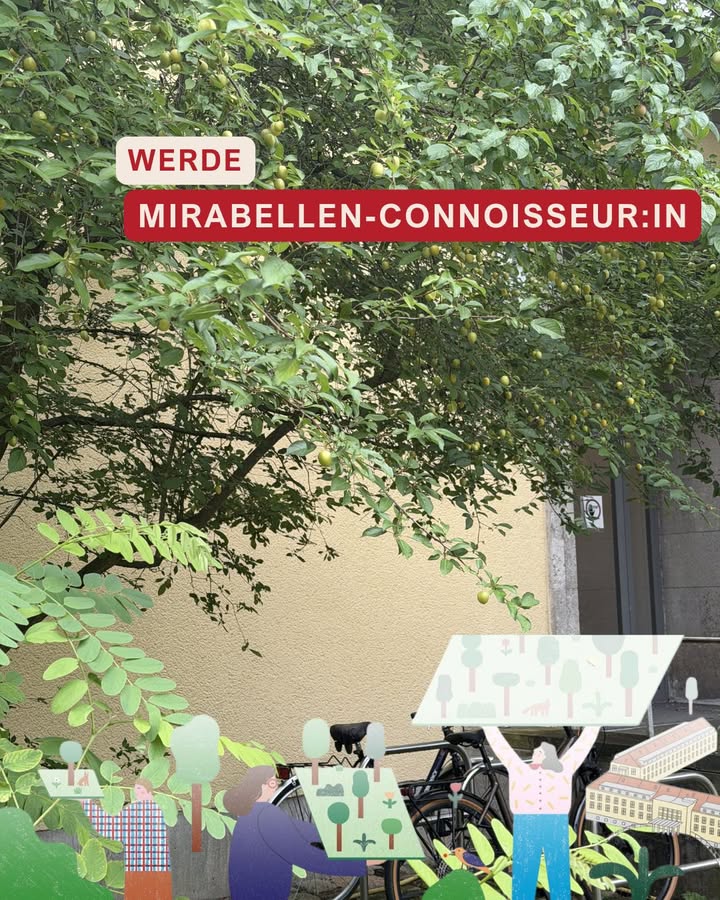 Beitragsbild
